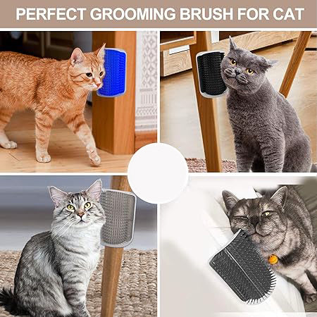 cat smart brush