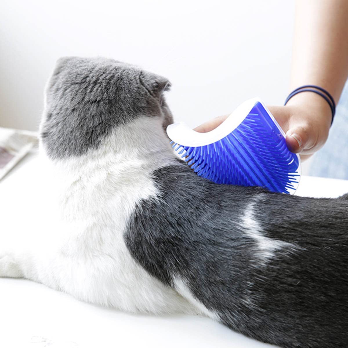 cat smart brush