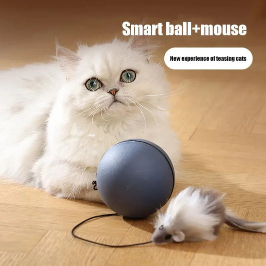 Rörlig mus boll