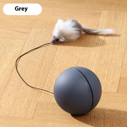 Rörlig mus boll